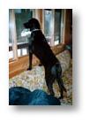 Boozer checks out the front-door